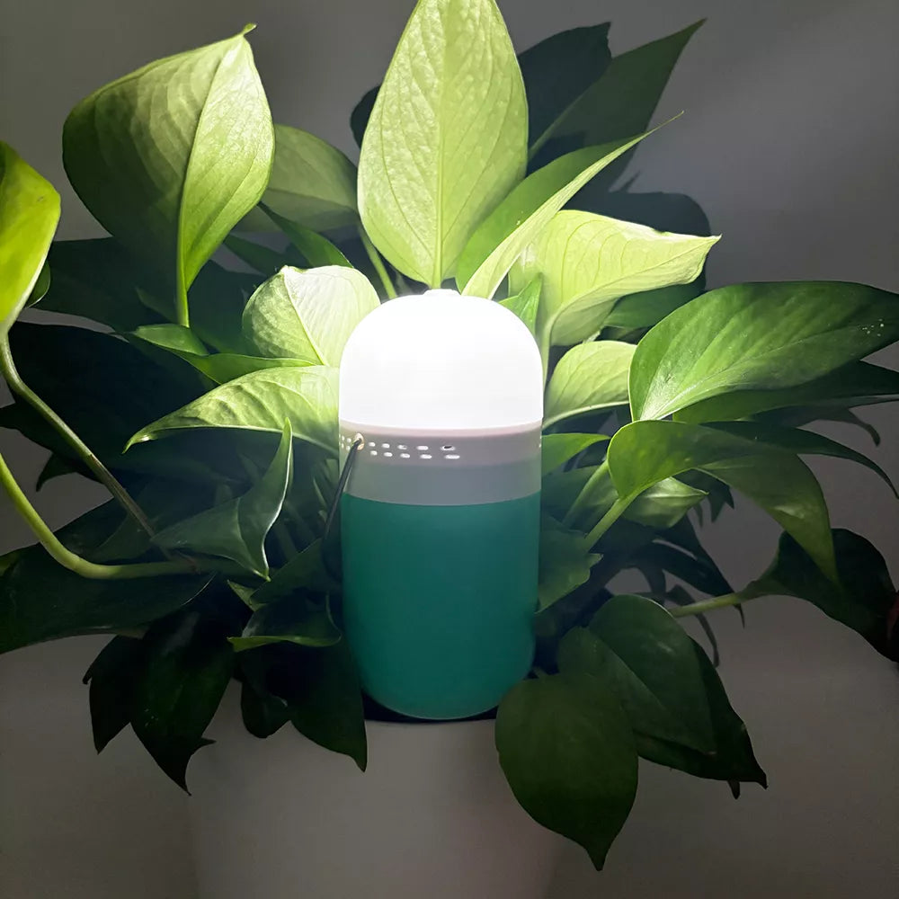 Tuzlu Su Lambası (LED)